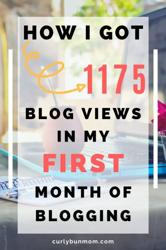 first month blog traffic report pageviews