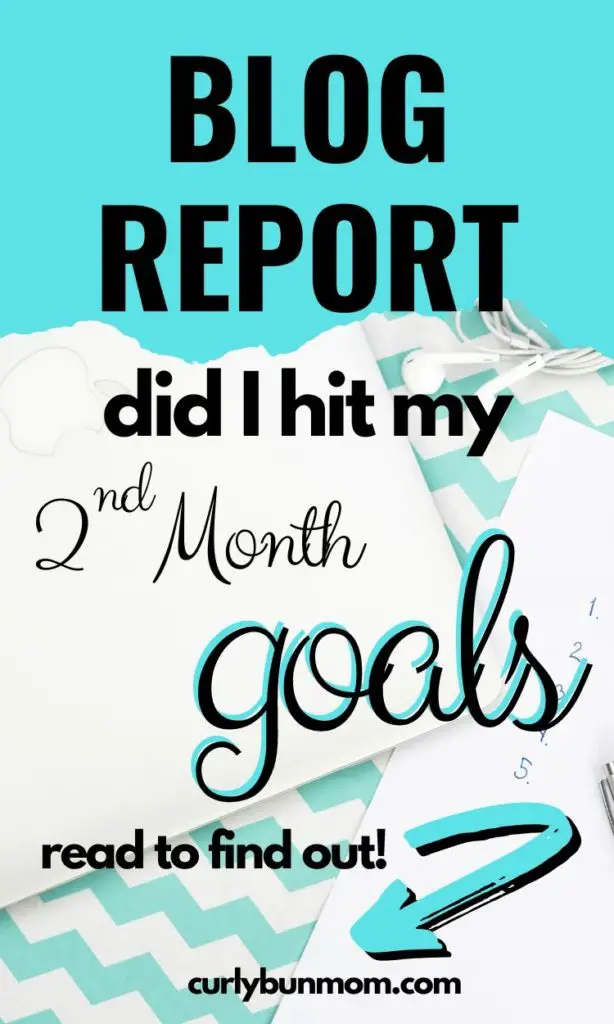 Curly Bun Mom 2nd month blog traffic report