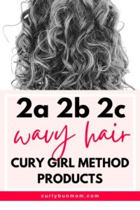 25 Best Products For 2a 2b 2c Hair - Affordable Curly Girl Wavy ...