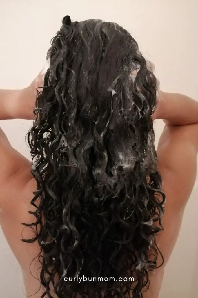 Twist by Ouidad curly girl product review, curly girl routine, curly girl wash day & results